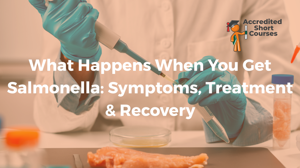 What Happens When You Get Salmonella Symptoms Treatment Recovery
