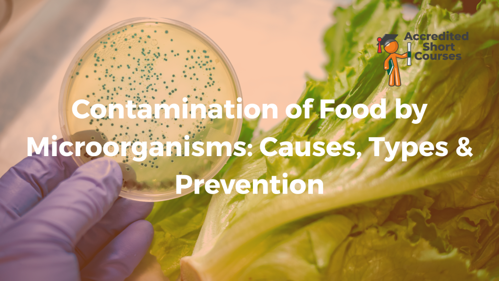 Contamination of Food by Microorganisms Causes Types Prevention