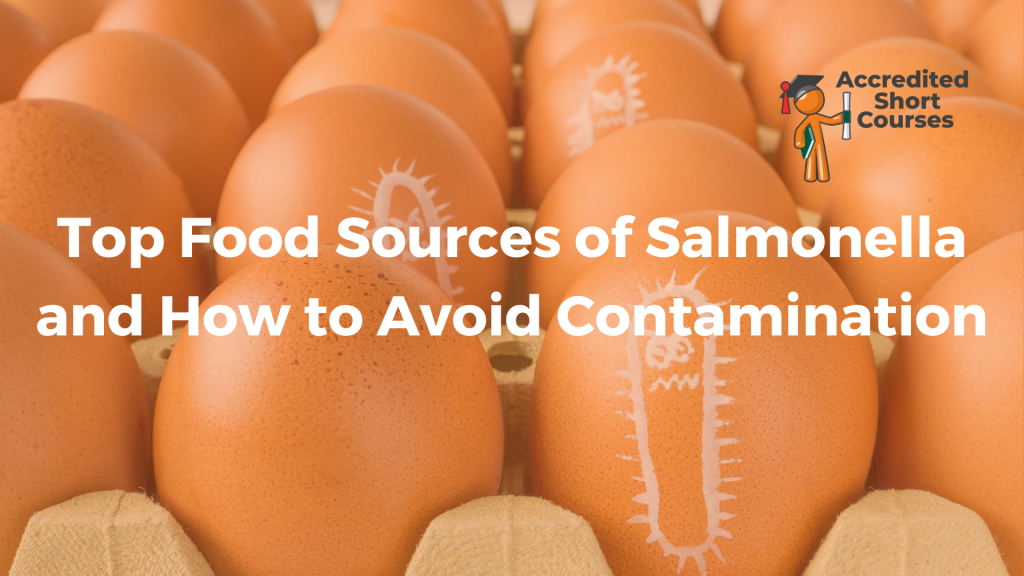 Top Food Sources of Salmonella and How to Avoid Contamination
