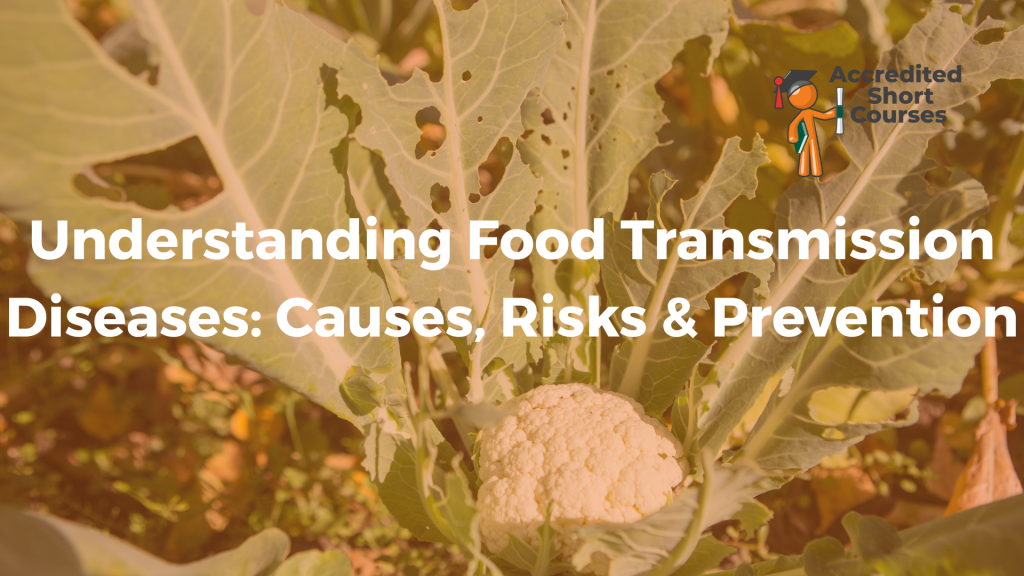 Understanding Food Transmission Diseases Causes Risks Prevention