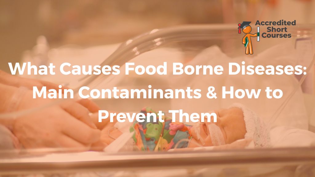 What Causes Food Borne Diseases Main Contaminants How to Prevent Them